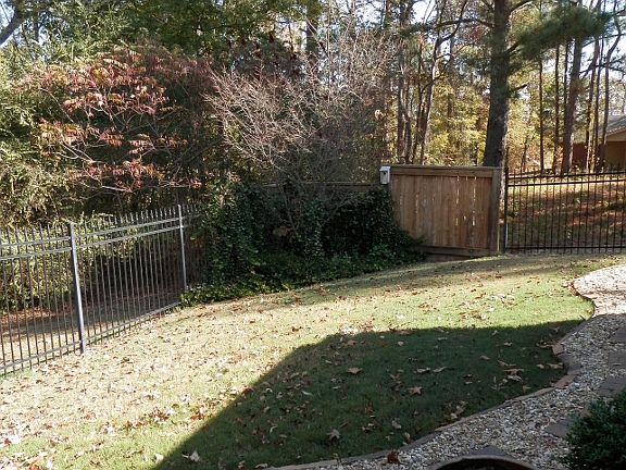 Back Side Yard