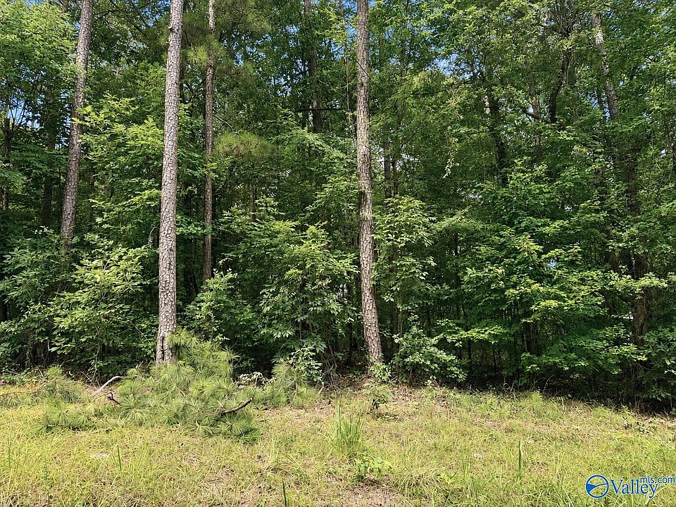 1st image of 81 County Road 608
