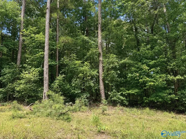 81 County Road 608, Cedar Bluff, AL 35959