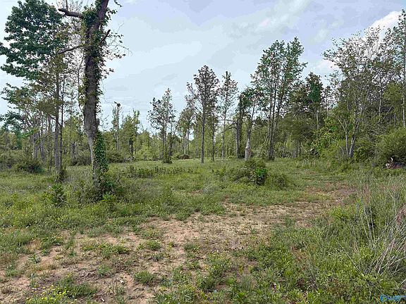 4th image of LOT 2 Highway 40
