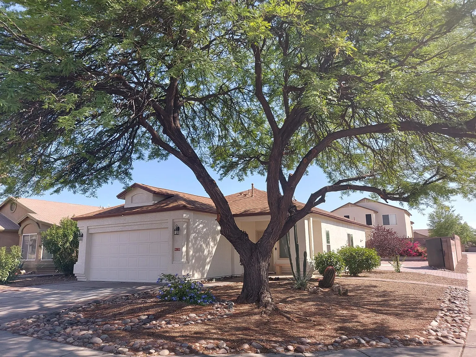 3 bed, 1264 sqft, $1,950 — Photo 1