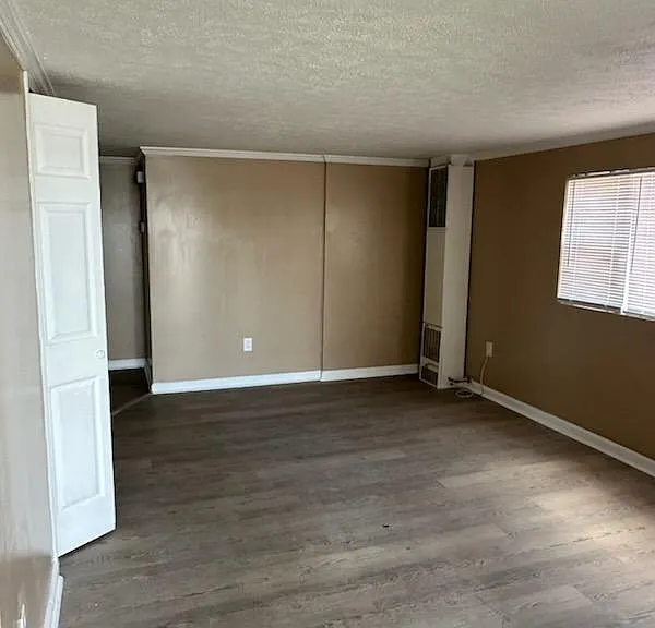 Spacious Living Room Area