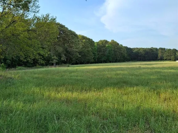 P 15 Off State Hwy #315, Mount Enterprise, TX 75681