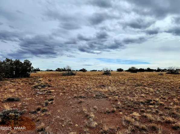 LOT 211 Dry Pasture Run, Heber, AZ 85928