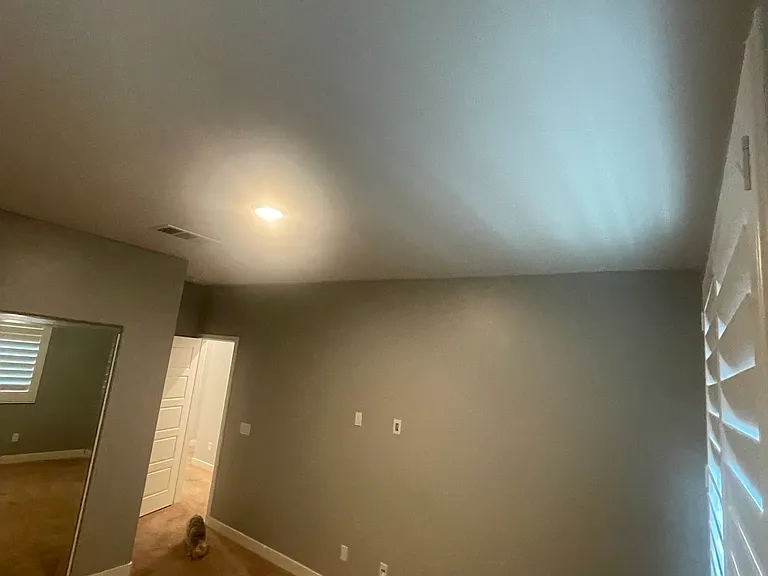 29646 Saddlebred Cir — Photo 39