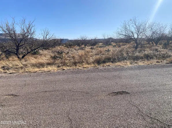 7471 W Lost Silver Ln Unit 171, Sahuarita, AZ 85629