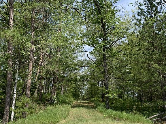 2nd image of McCollum Lake Rd
