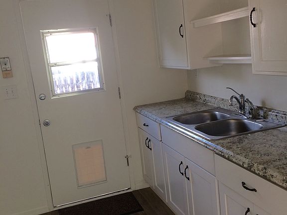 kitchen w/ doggy door
