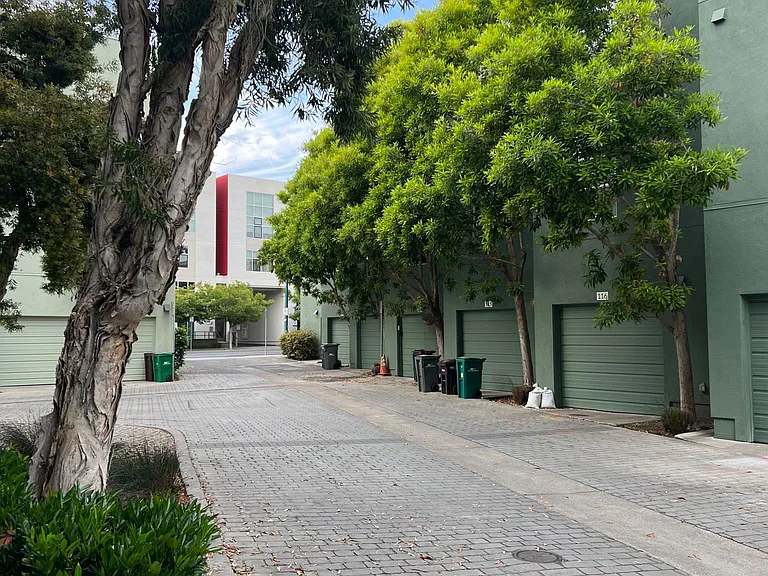 33 Glashaus Loop — Photo 14