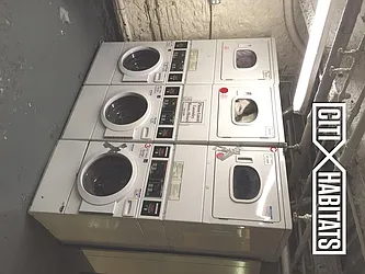 Rented by Citi Habitats