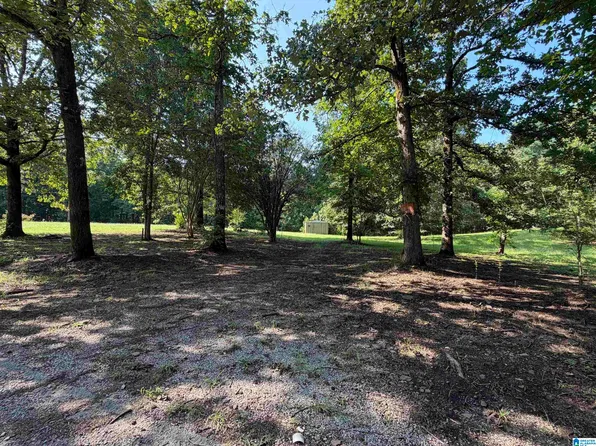 497 Jay Ln #0, Empire, AL 35063