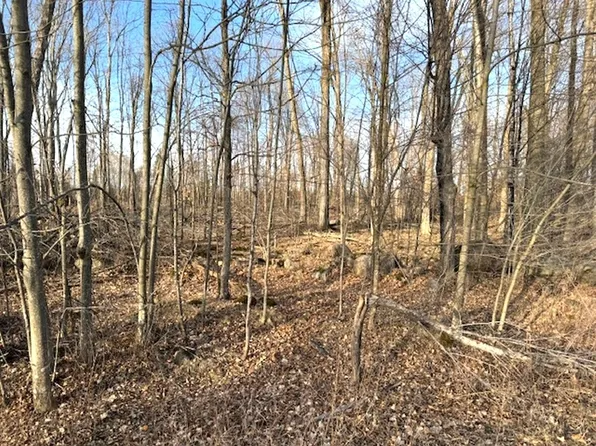 LOT 2 Thorn Apple Dr, Wittenberg, WI 54499