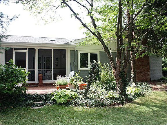 Backyard oasis