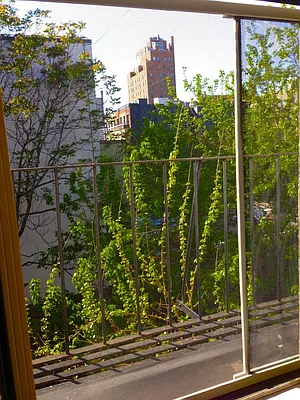 Rented by Camhi NYC Realty Inc | media 23