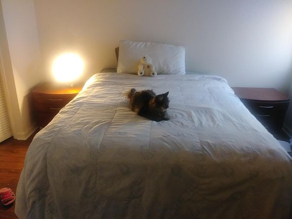 3rd image of 3118 Canon St APT 6