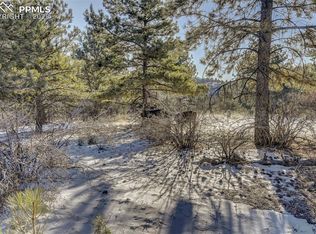 226 Arapahoe Dr, Florissant, CO 80816