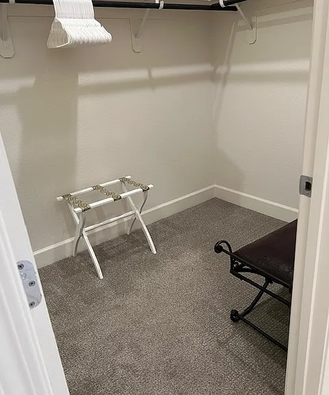 Primary closet