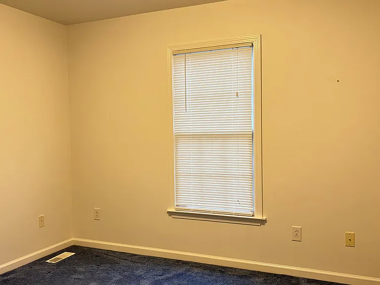 12 Willow Tree Ct — Photo 10