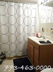 4th image of 229 Marengo Ave APT 309
