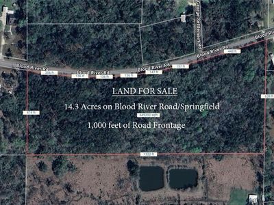 Blood River Rd, Springfield, LA, 70462