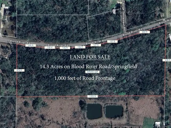 Blood River Rd, Springfield, LA 70462