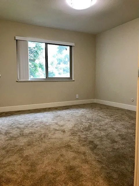 1190 Ralston — Photo 4