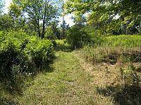 1st image of 4385 County Road 29