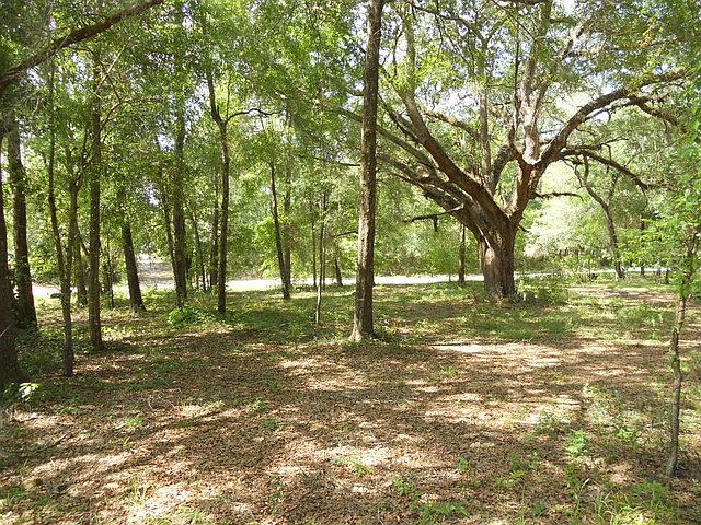 1st image of 14191 NE 43rd Pl