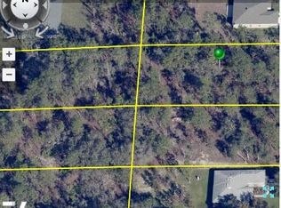 14089 Eastern Phoebe Rd, Brooksville, FL 34614