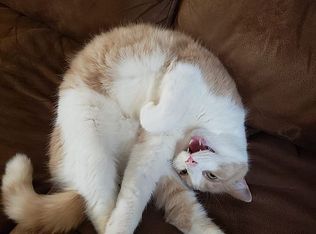 5 Barnet Ave, Waterville, ME 04901