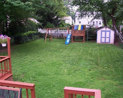 Back Yard