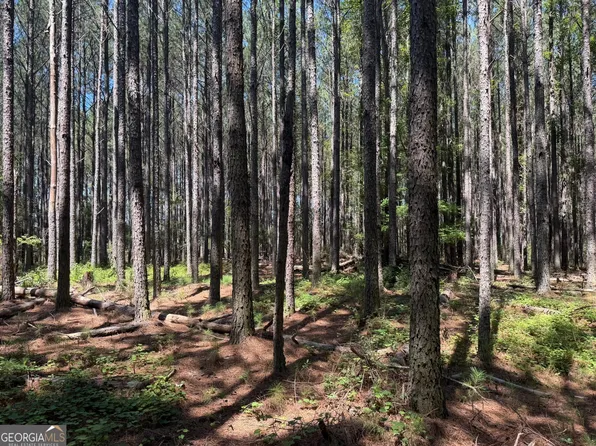 0 Hulmes Chapel Rd, Elberton, GA 30635