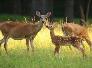 634 N Commons View Dr, Huffman, TX 77336