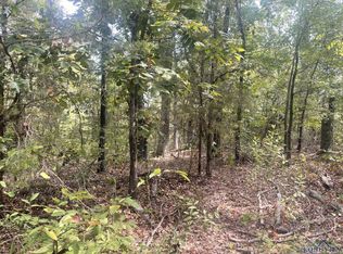 Brandy Rd, Diana, TX 75640