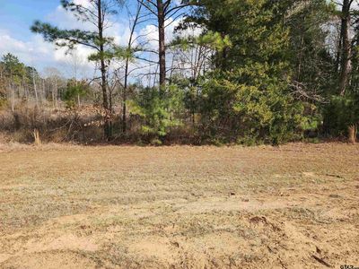 Tbd Cr 2312, Pittsburg, TX, 75686