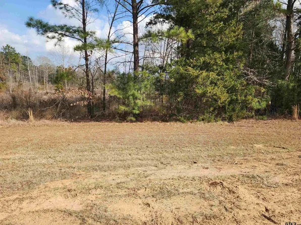 Tbd Cr 2312, Pittsburg, TX 75686