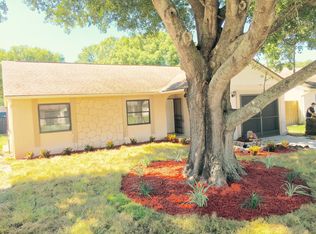 3117 Cody St, New Port Richey, FL 34655