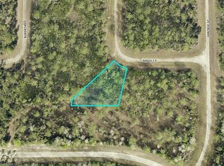 307 Nagle Ct, Lehigh Acres, FL 33972