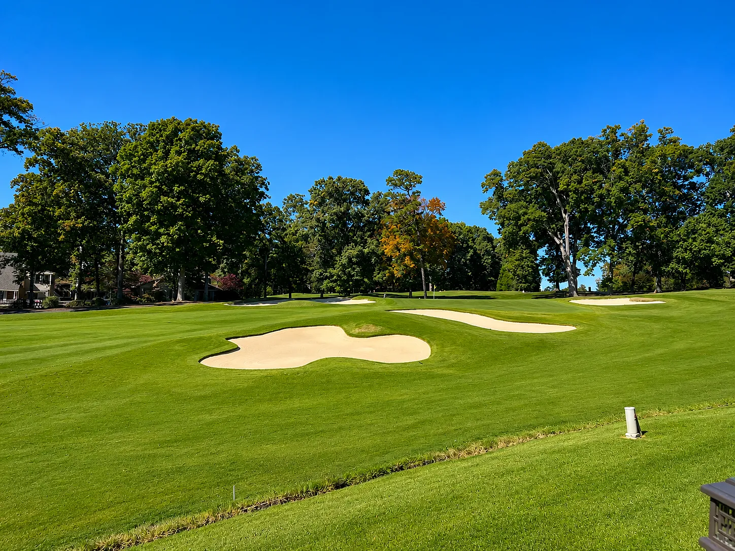 175 Golfview Dr — Photo 4