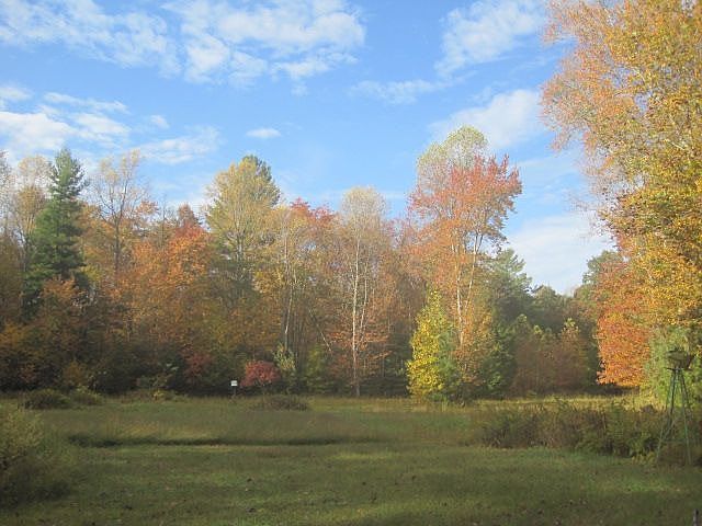 Fall view of rear yard