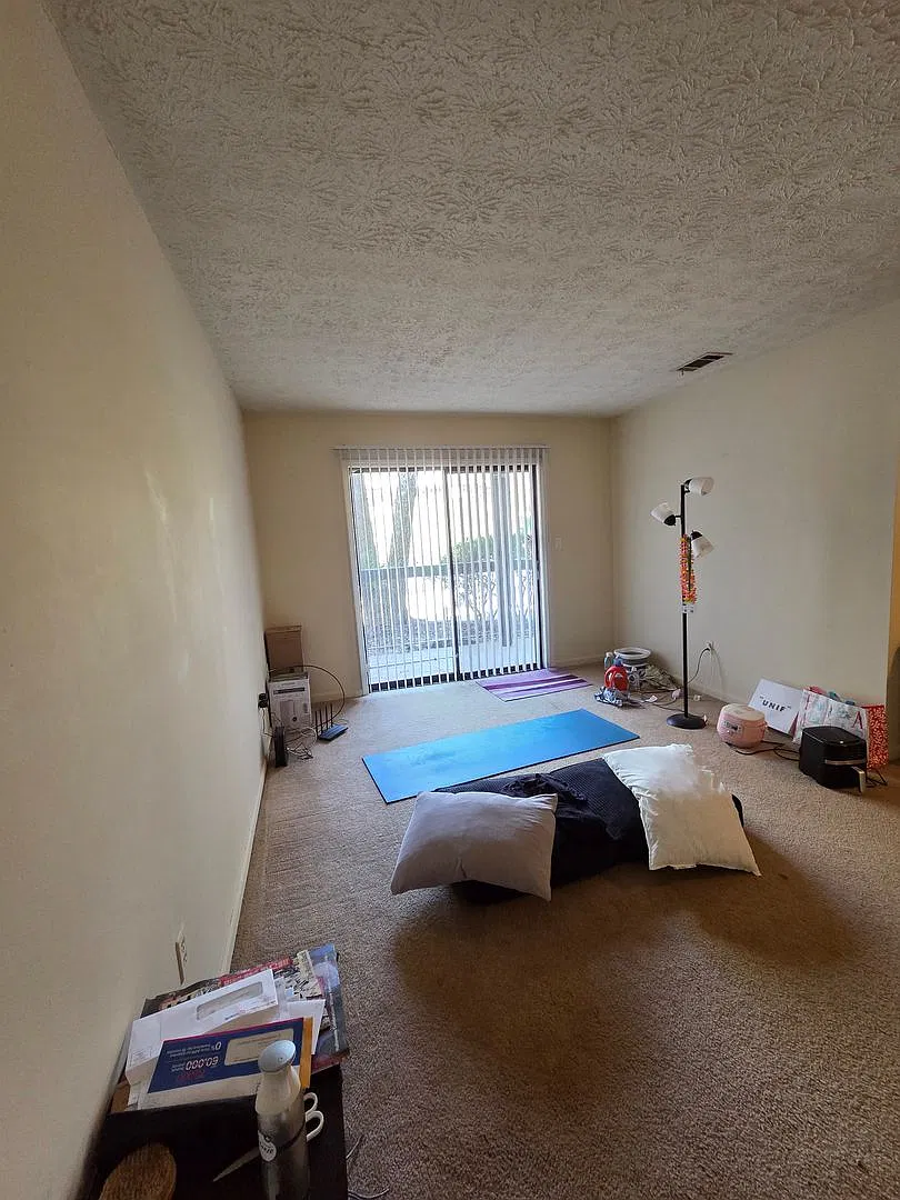Campus View Apt-Walking Distance to UGA! — Photo 3