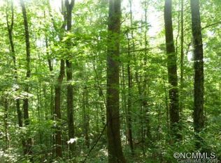 0 Griffith Rd, Green Mountain, NC 28740