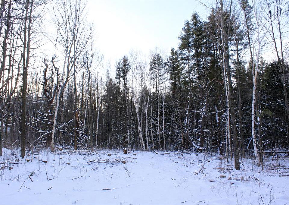 2nd image of Lot 1 Martel Lane