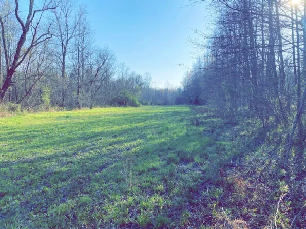 Old Lula Rd, Reagan, TN 38368