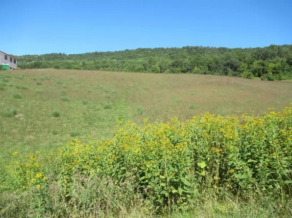 Tbd Big Valley Dr, Draper, VA 24324