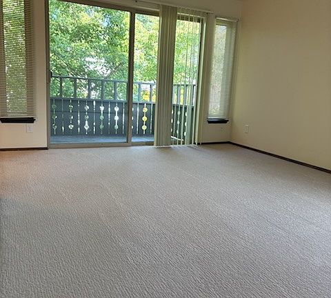 living room patio door & deck