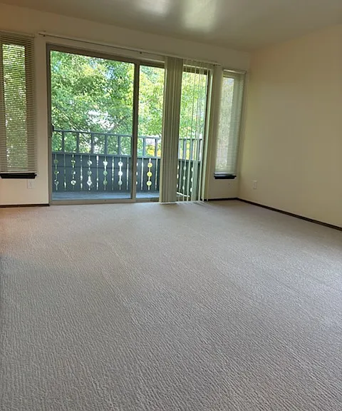 living room patio door & deck