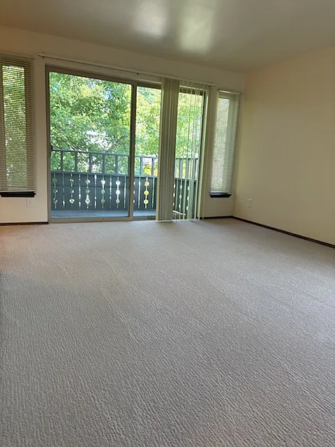 living room patio door & deck
