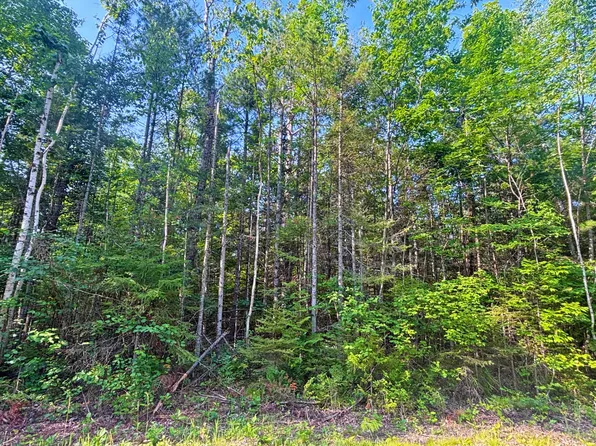 342 & 343 Northland Heights Dr, Presque Isle, MI 49777