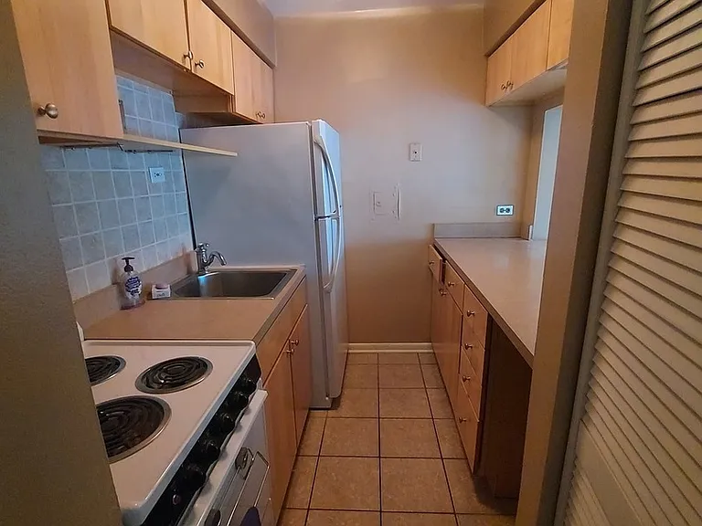 530 W Barry Ave #4F — Photo 9